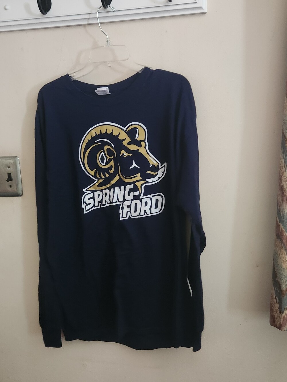 🎉 Spring-ford Area Highschool Long Sleeve